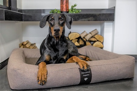 DoggyBed orthopädisches Hundebett Soft Style